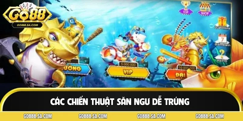 Các chiến thuật săn ngư dễ trúng