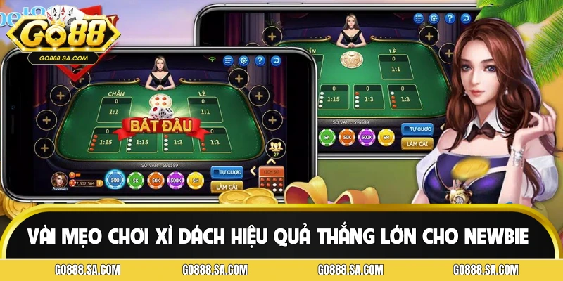 Vài mẹo chơi xì dách hiệu quả thắng lớn cho newbie