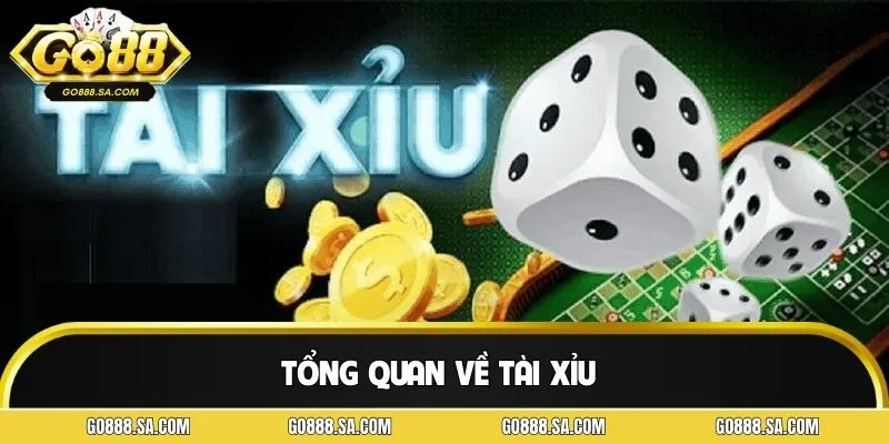 Khái quát những thông tin cơ bản về trò chơi tài xỉu